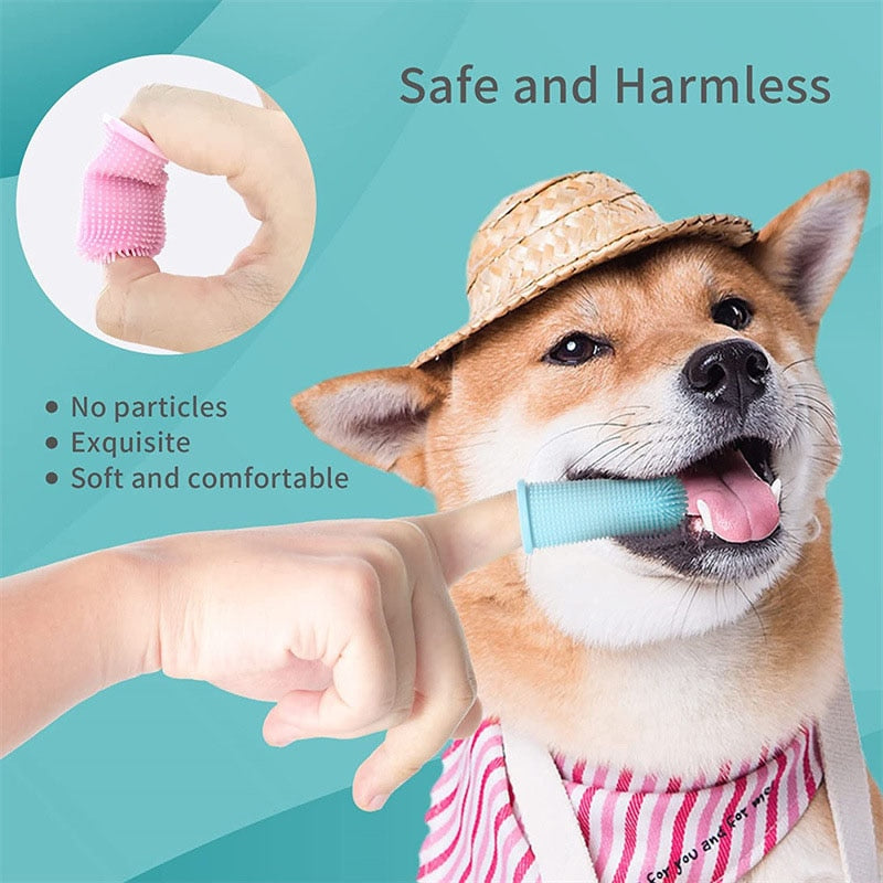 Comfortable dog teeth cleaning tool