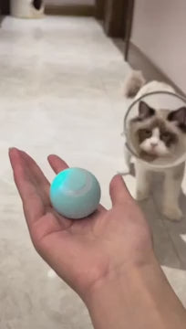 Engrossing playtime with an automatic rolling ball for cats