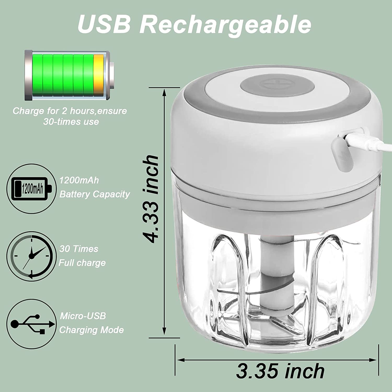 Garlic minced by mini electric chopper