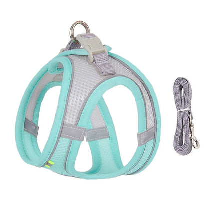 Secure Dog Harness and Leash