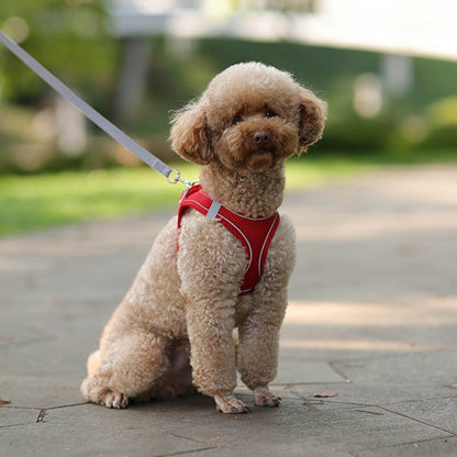 Dog Walking Harness and Leash