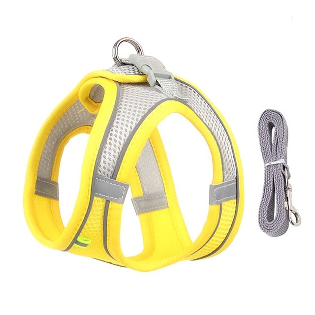 Adjustable Pet Harness with Leash