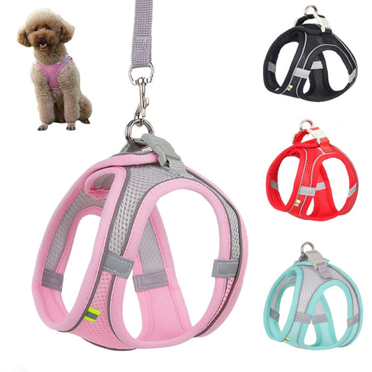 Adjustable Dog Harness with Leash