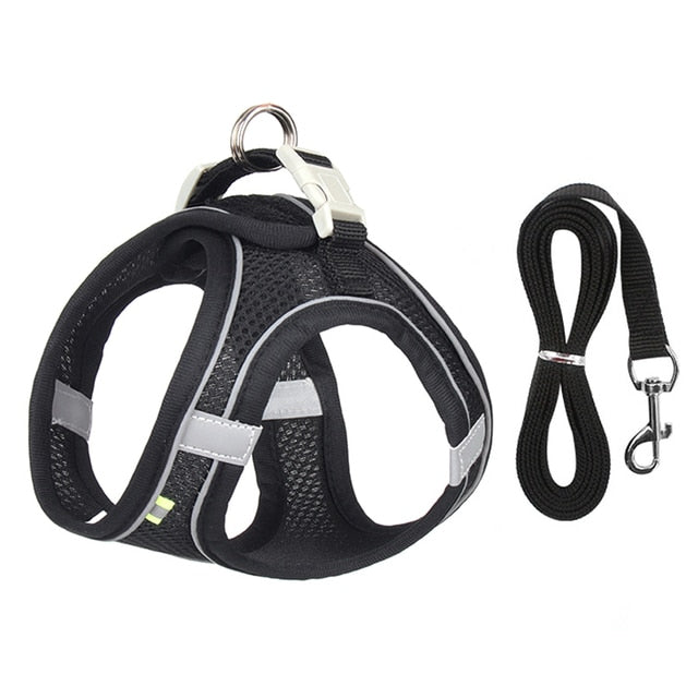 Comfortable Pet Harness with Leash