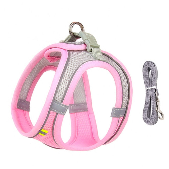 Escape-Proof Dog Harness Leash