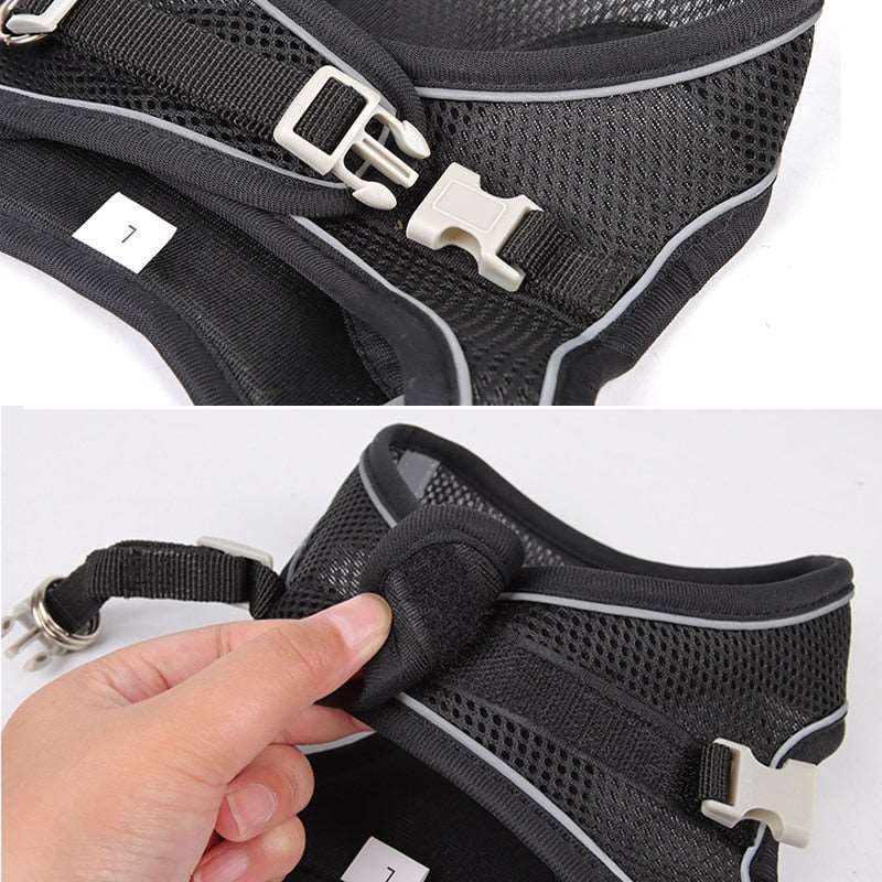 Comfortable Dog Harness with Leash