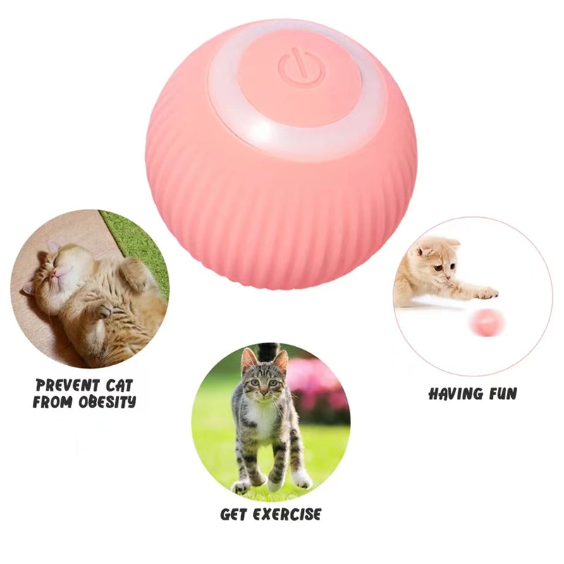 Automated cat toy with ball for hours of fun