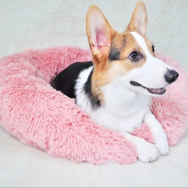 Snug bed for pets' comfort