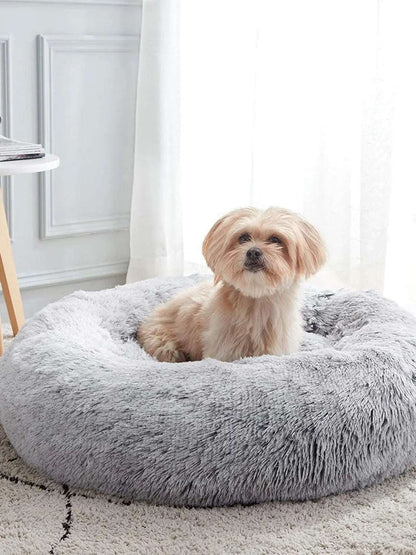 Bed designed for optimal relaxation of pets