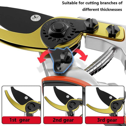 Scissors with fine blades for precise pruning